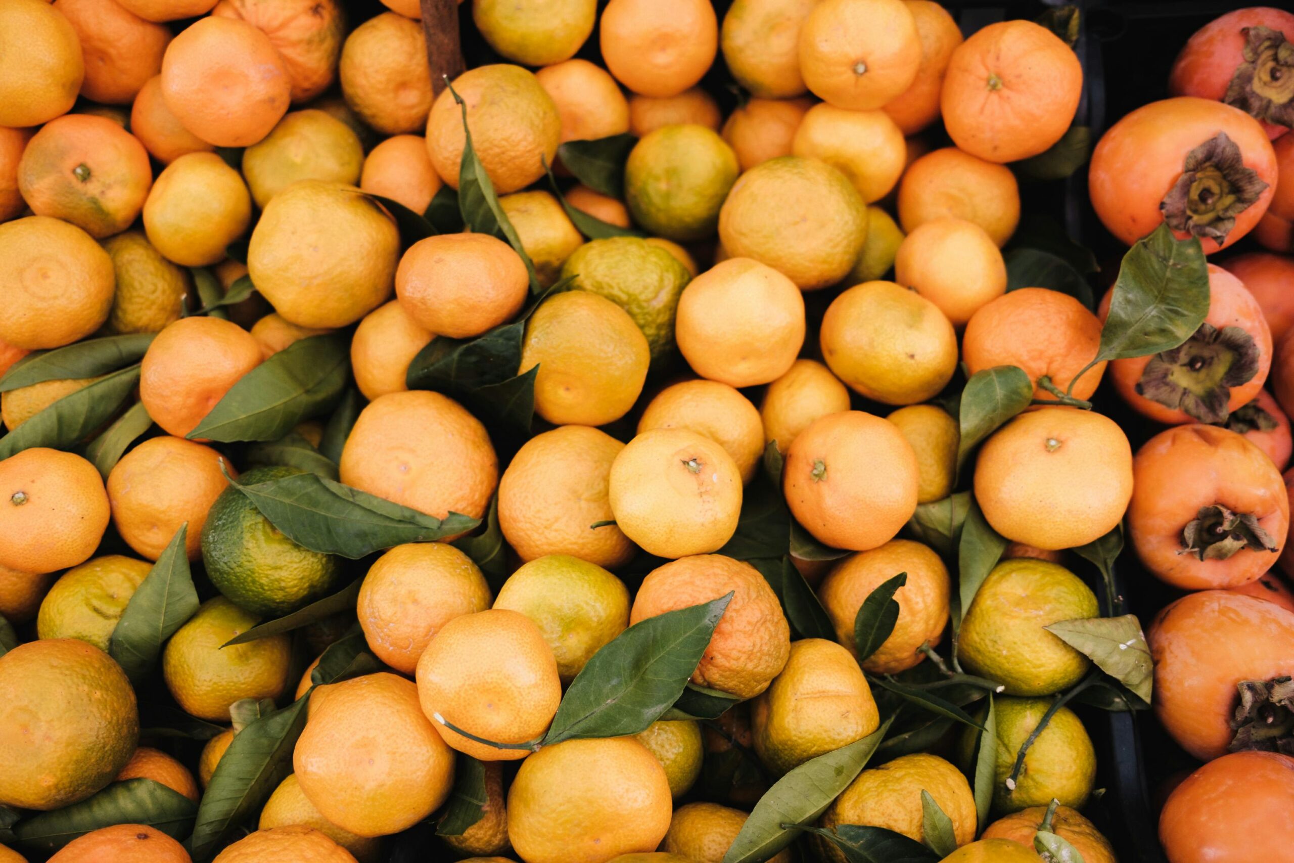 Mandarins